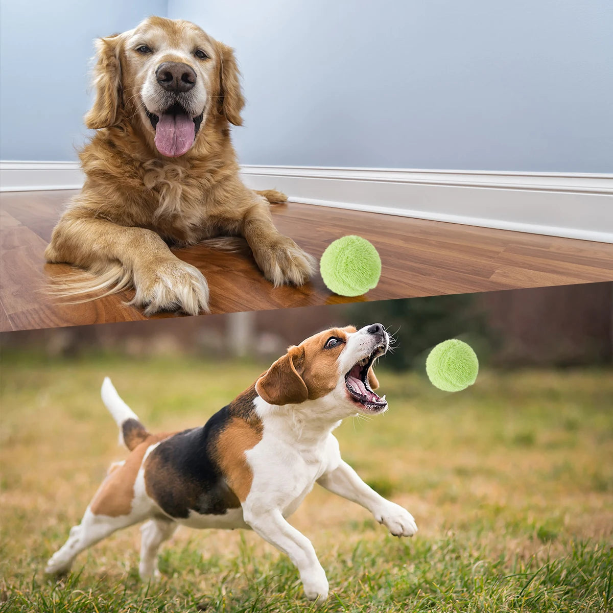 Pet Ball Toy Automatic Rolle