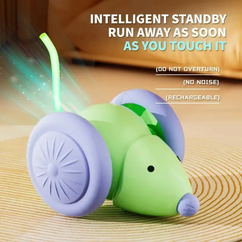 Pet toys Interactive Cat Toy