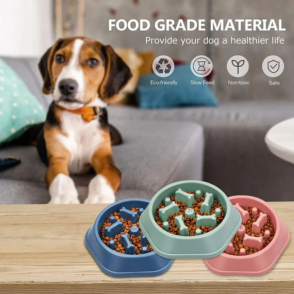 Slow Feeder Dog Bowls