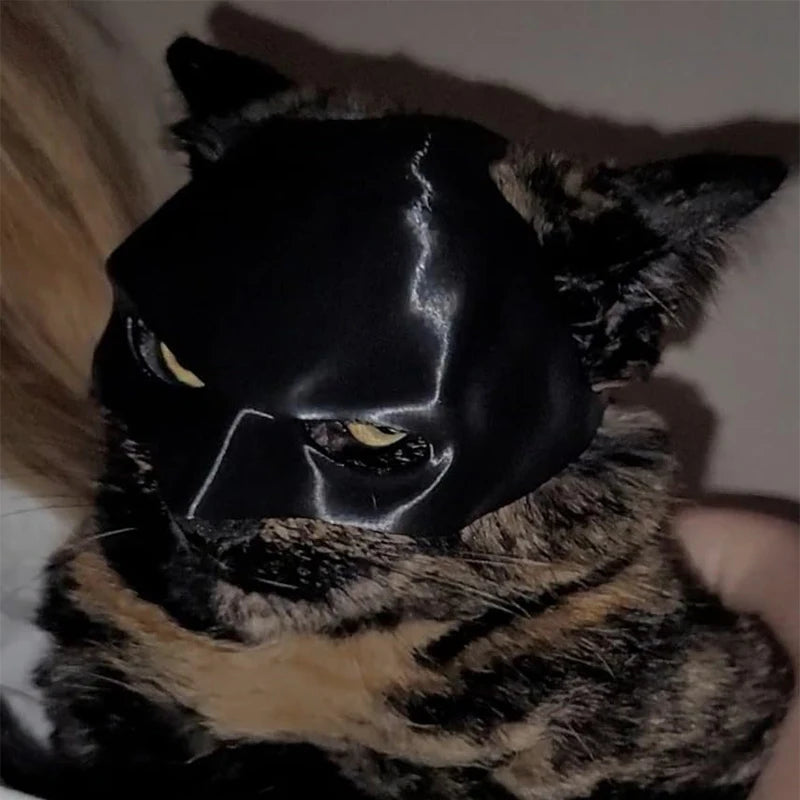 Bat Cat Mask Cosplay