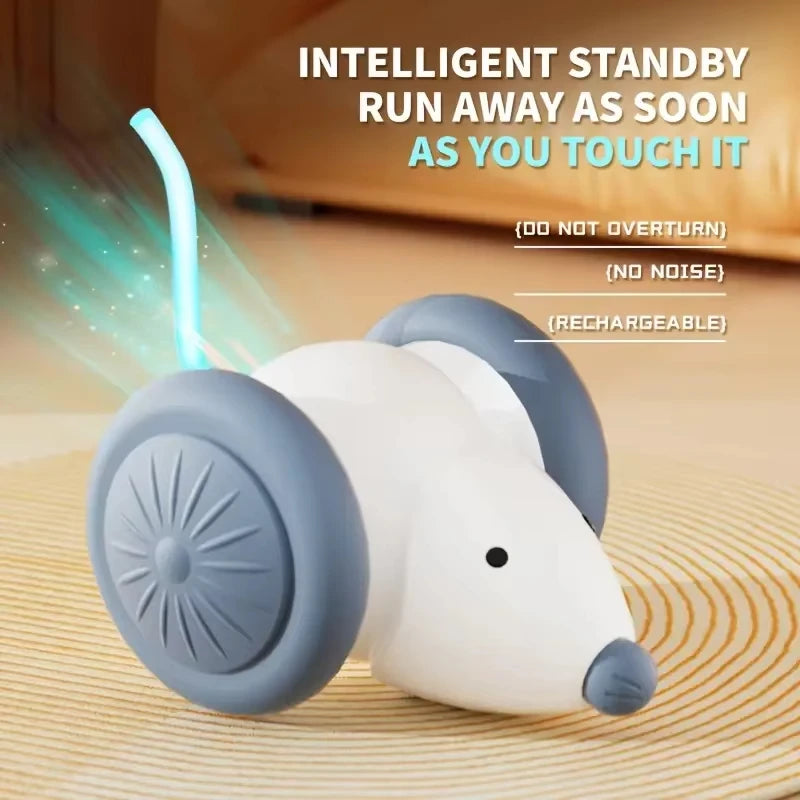 Pet toys Interactive Cat Toy