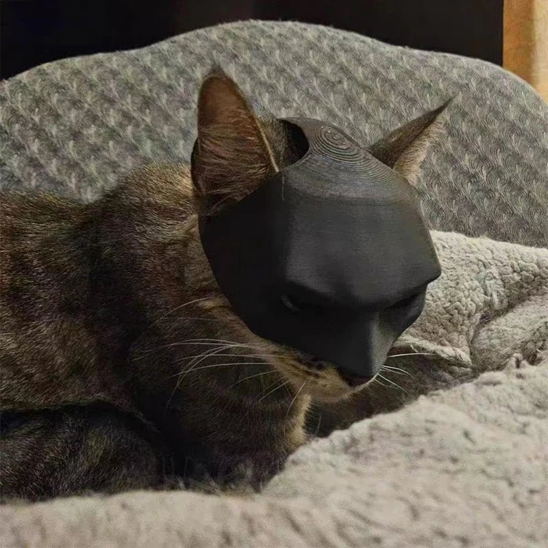 Bat Cat Mask Cosplay