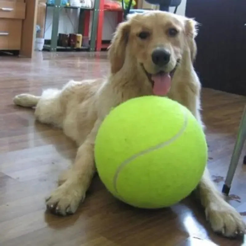 Big Dog Tennis Ball