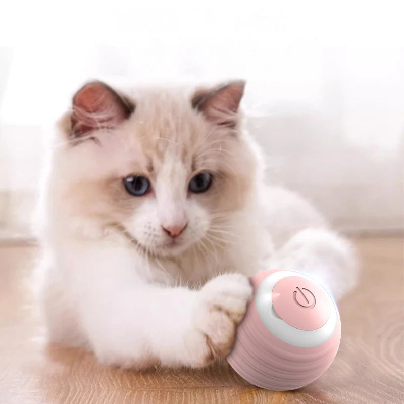 Spin Electric Ball