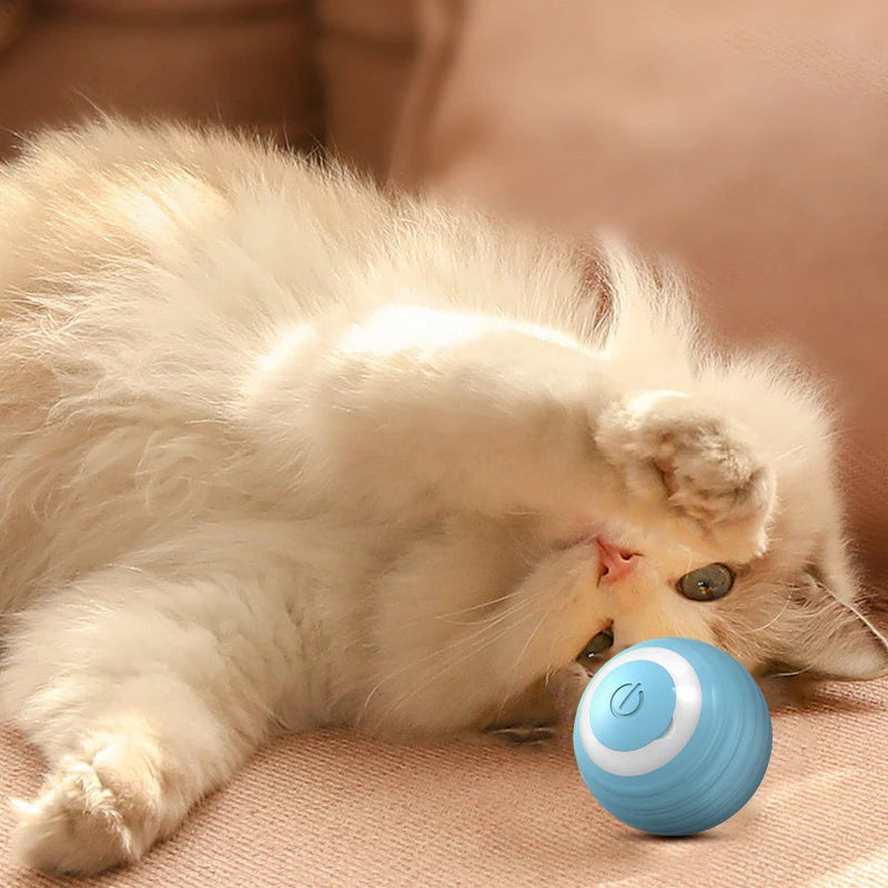 Spin Electric Ball