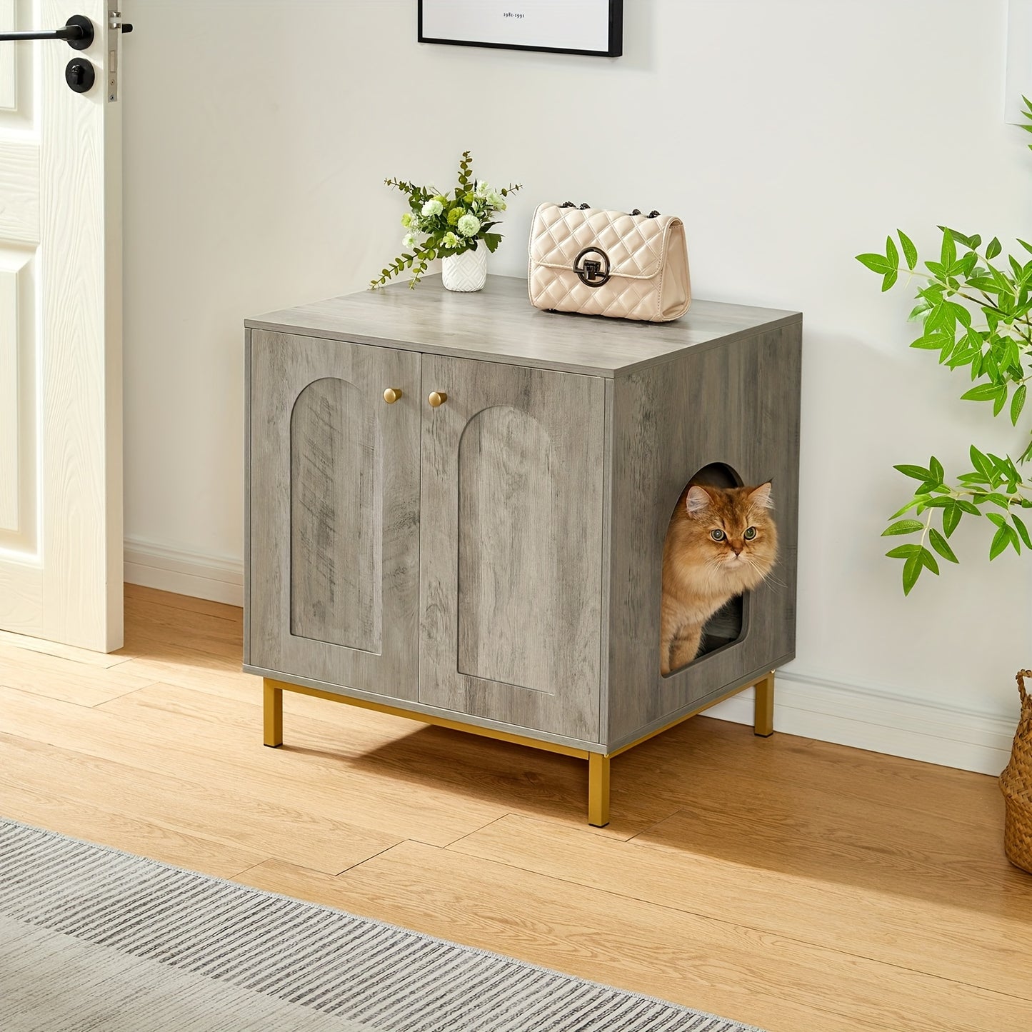 Versatile Cat Litter Cabinet with Door