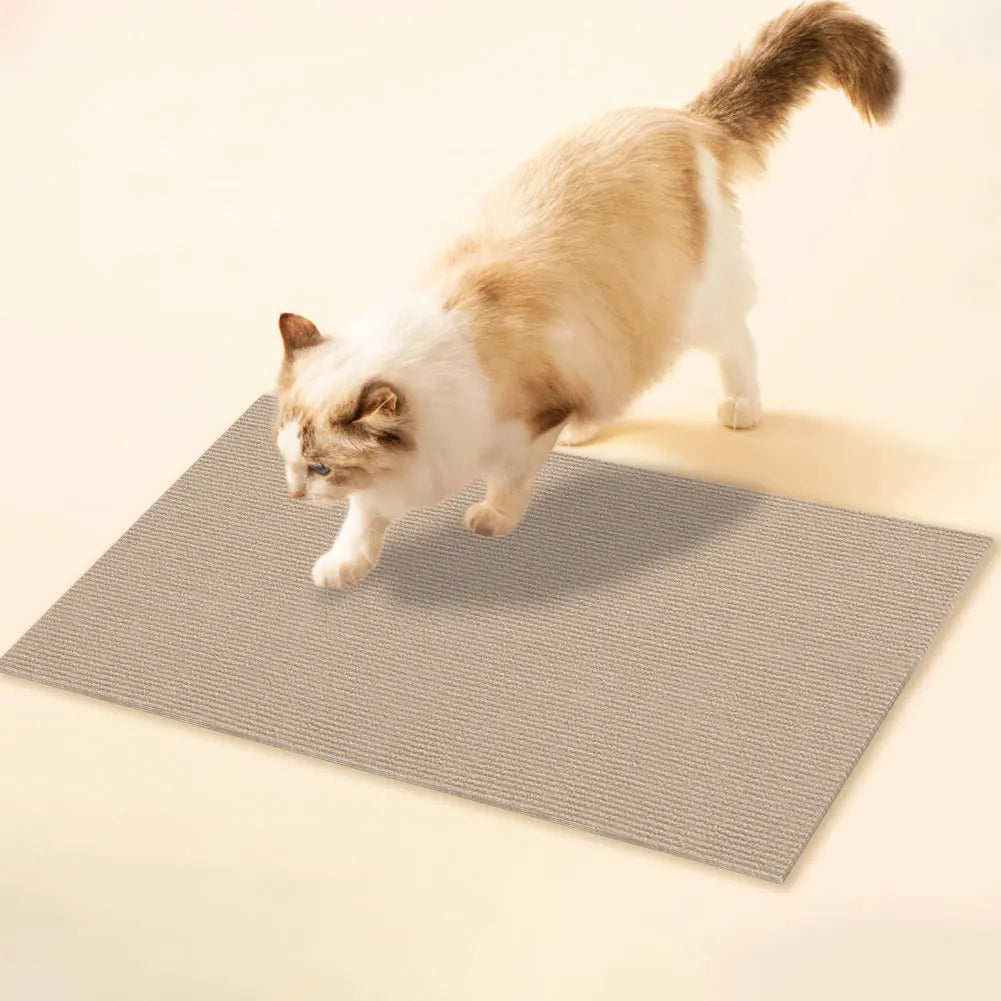 Cat Crawling Mat Anti Scratch