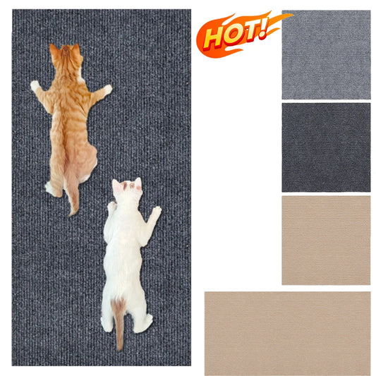 Cat Crawling Mat Anti Scratch
