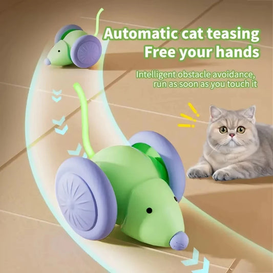 Pet toys Interactive Cat Toy