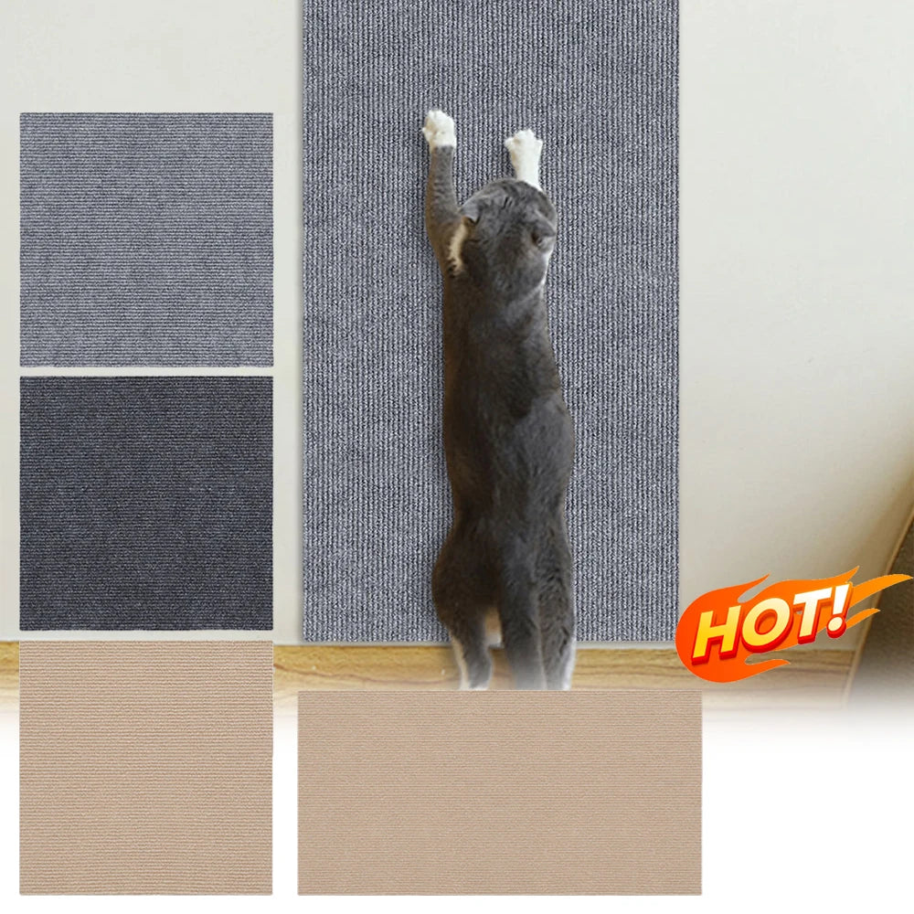 Cat Crawling Mat Anti Scratch