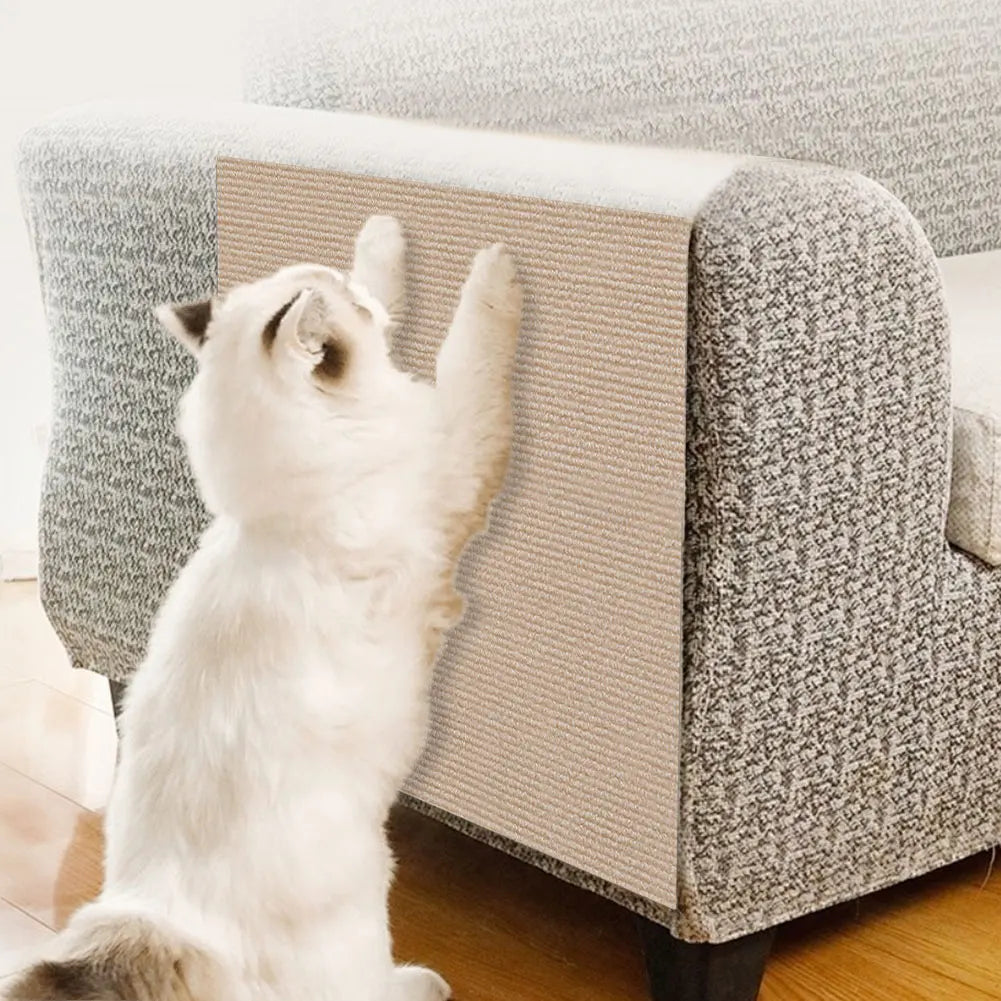 Cat Crawling Mat Anti Scratch