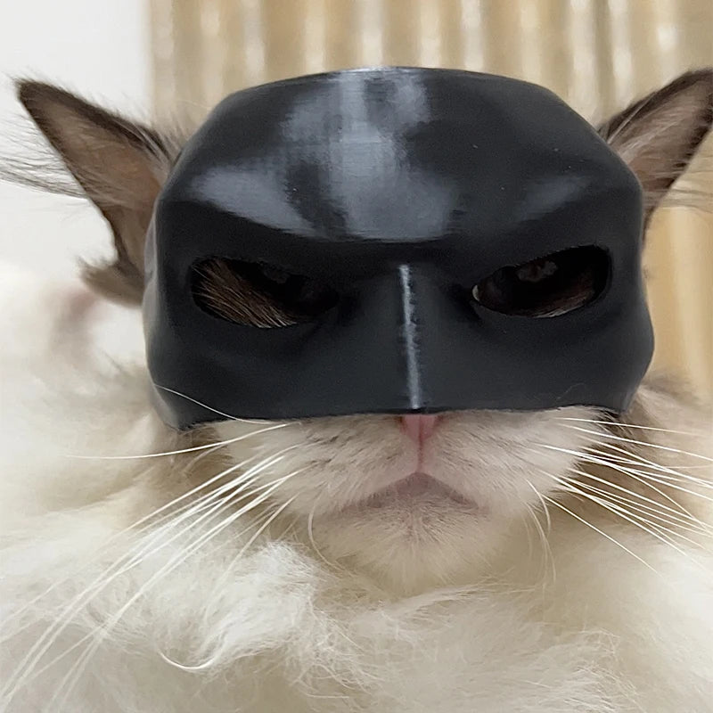 Bat Cat Mask Cosplay