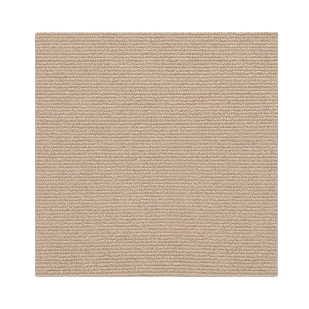 Cat Crawling Mat Anti Scratch