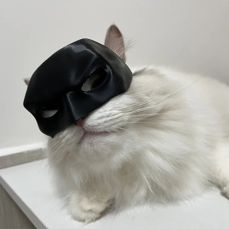 Bat Cat Mask Cosplay