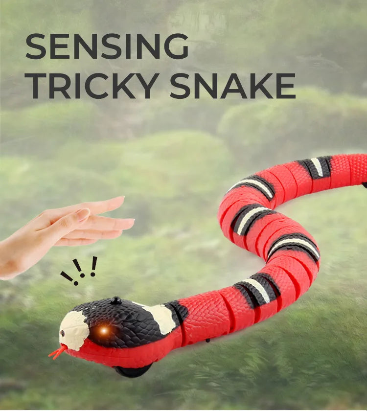 Smart Sensing Snake