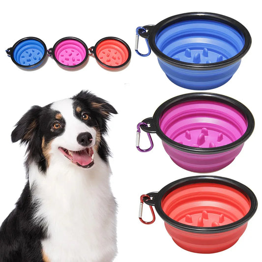 Dog Slow Food Bowl