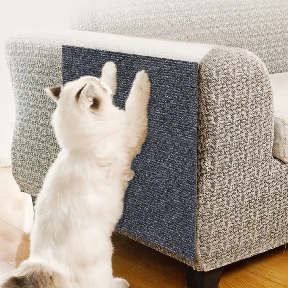 Cat Crawling Mat Anti Scratch