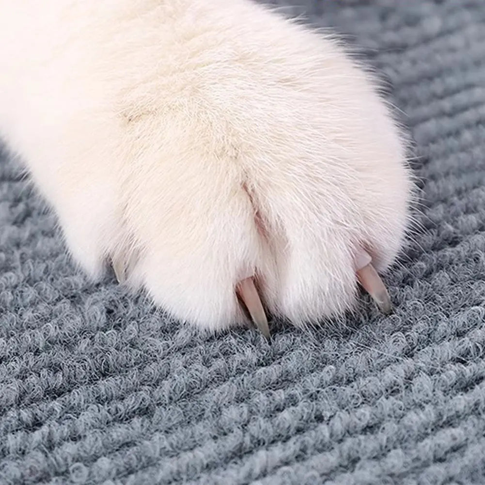 Cat Crawling Mat Anti Scratch