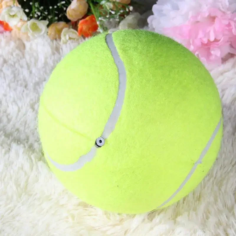 Big Dog Tennis Ball