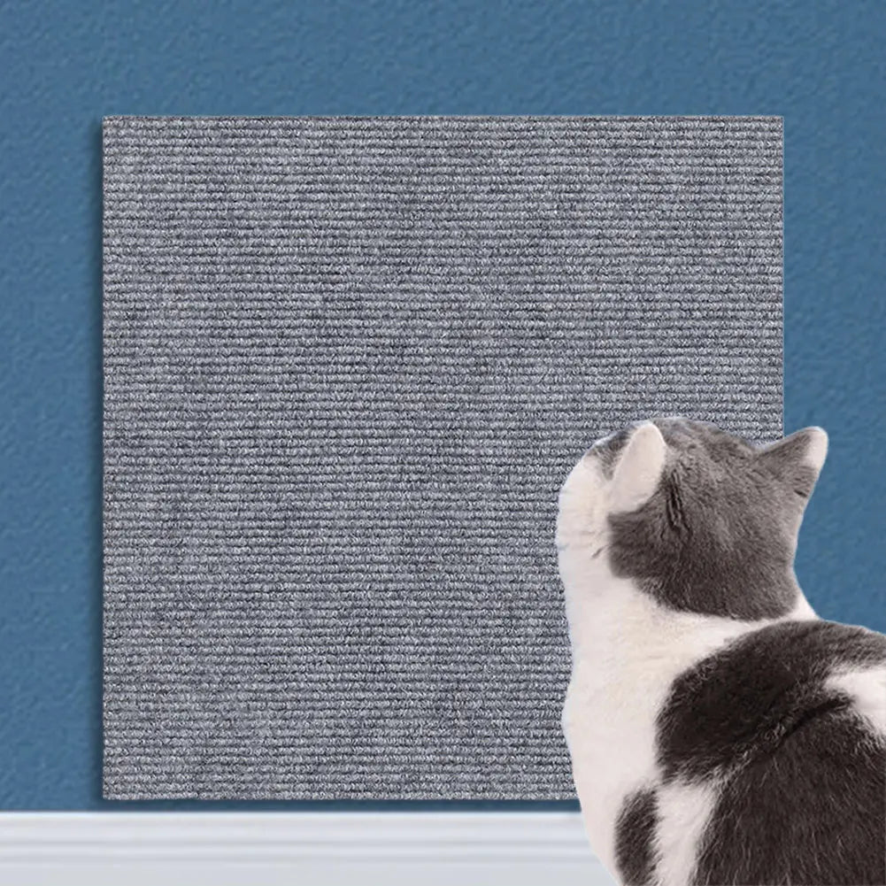 Cat Crawling Mat Anti Scratch